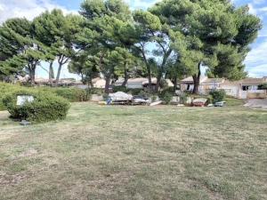 Charmant T2 avec terrasse - Animaux admis - FR-1-503-155