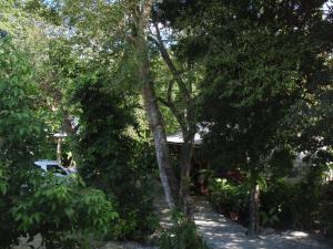 Guest house Posada Ixchel