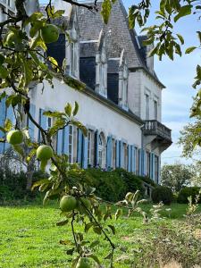 Maisons de vacances Le Petit Poirier : photos des chambres