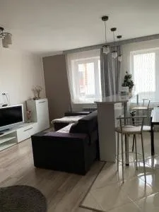 Апартаменти студія - 特鲁斯卡韦茨