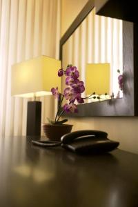 Superior Double Room room in Hotel Astory Plzeň
