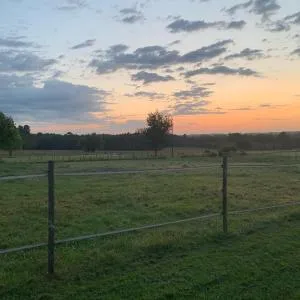 Equizen33 maison zen et ressourçante - Bussac-Forêt