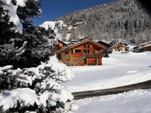 Chalets Chalet Morzine, 6 pieces, 10 personnes - FR-1-627-24 : photos des chambres