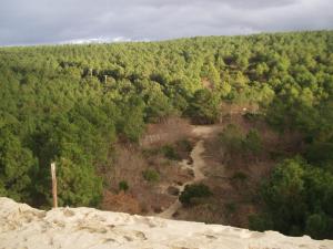 Appartements Les Amandiers : photos des chambres
