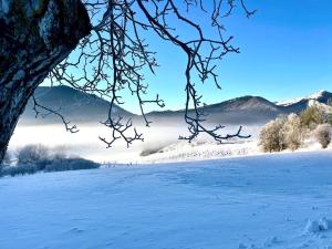 Chalets Chalet cosy dominant le village : photos des chambres