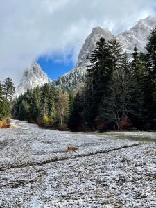 Chalets Chalet cosy dominant le village : photos des chambres