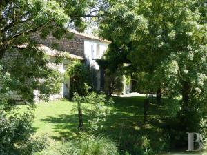 Maisons d'hotes ONEIRO NISOS : photos des chambres