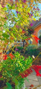 STUDIOS La Varenne Saint Maur entre PARIS ET DISNEYLAND - 3hvězdičkové hotely ve městě Saint-Maur-des-Fossés