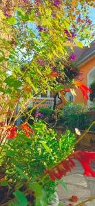 STUDIOS La Varenne Saint Maur entre PARIS ET DISNEYLAND - 马恩河畔博纳伊