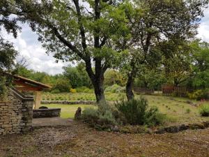 Maisons de vacances Maison de caractere dans Luberon avec piscine : photos des chambres