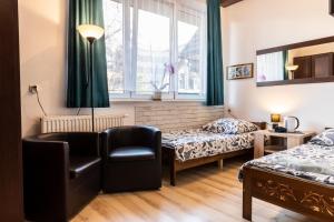 Brzoza w centrum Zakopanego