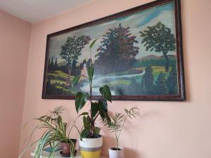 Apartman UNA