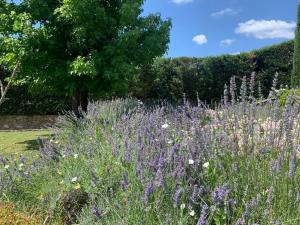 Appartamento in Villa con Piscina - Mhateria Relais