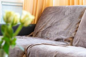 Strandpark-Grossenbrode-Haus-Leuchtturm-Wohnung-1