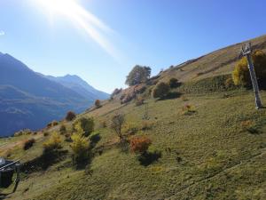 Studio cabine 24m² - 4 pers, proche télésiège, animaux admis - FR-1-636-168