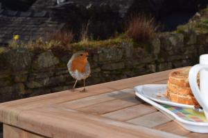 Chapel Bank House Coniston