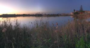 Il fenicottero, Marzamemi