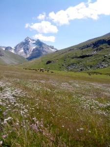 Chalets Chalet de 4 chambres avec jardin amenage et wifi a Les Chapelles a 8 km des pistes : photos des chambres