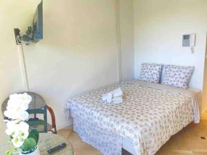 The Sun Paradise Dream