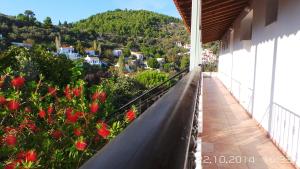 Skiathos Studios Panorama Skiathos Greece