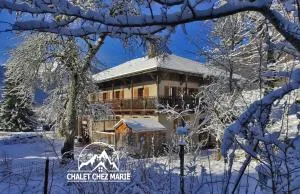 Appartement dans chalet 5 chambres 130 m2 centre village - 蒙特里永