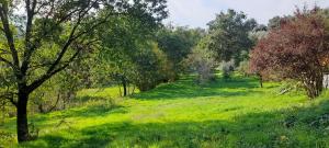 Agricampeggio la casa di Nicla