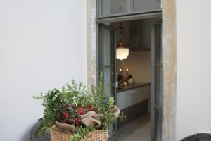 Ferienparadies im Alten Pfarrhaus - Fewos für 2 - 6 Personen - Gartensauna - Parkplätze