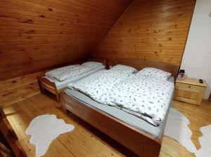 Brunarica 6A - Pohorje - Trije Kralji - Druzinsko smucisce