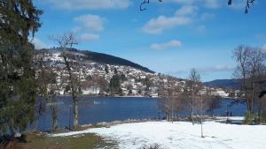 Appartements Les fermes du Lac Gerardmer : photos des chambres