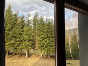 Apartmán Ramzová Kometa