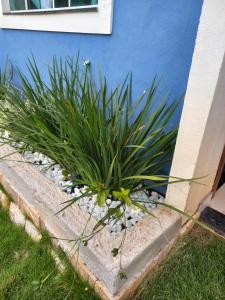 Casa Azul Búzios Rasa