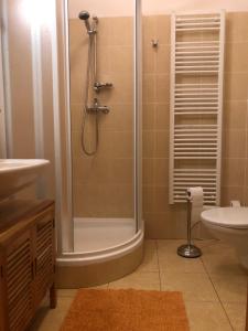 Apartmán Ramzová Kometa