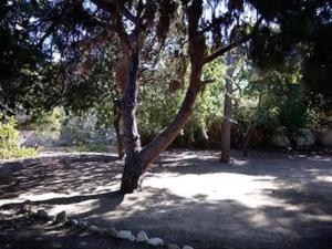 VILLA KANTOUNI ON THE BEACH