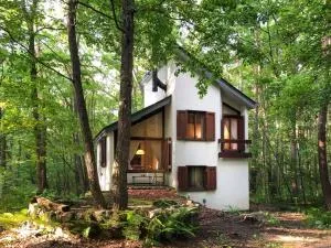 Tatehata House. Private Sauna. Outdoor Bath. - 北轻井泽