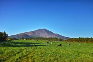 Tatehata House. Private Sauna. Outdoor Bath.