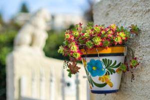 Appartements Maison Cagnes-sur-mer : photos des chambres