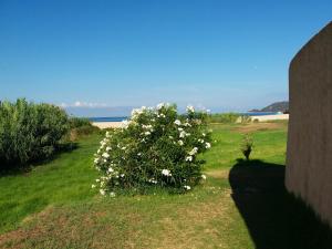 Maisons de vacances Maison de 2 chambres a Calcatoggio a 200 m de la plage avec jardin clos : photos des chambres