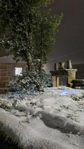 Casa da Relva Experiência Temática Inspirada em Harry Potter