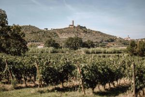 Agriturismo LaPievuccia