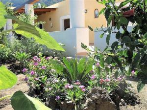 Casa Il Girasole, panoramica e a pochi passi dal centro di Malfa