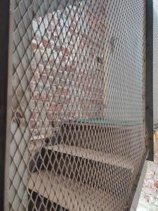 La petite Madeleine Paisible - Contemporain - 2Ch