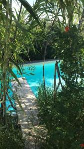 Domus Sol Aria 2 img23