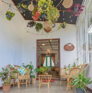Gregory House Hostel