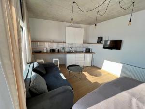 Mountpeak -Studio -#4A ski inout