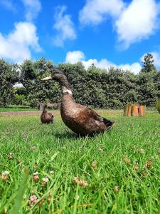 Quinta de São José