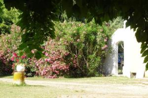 Maisons de vacances Les Jasmins 8 pers Piscine commune calme et confort : photos des chambres