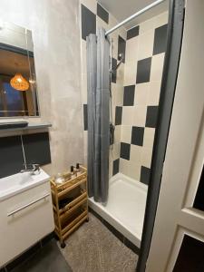 Appartements Studio Coquet proche Gare : photos des chambres