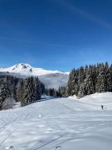 Hotels Hotel Rhodos Morzine : photos des chambres