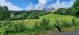 Maisons de vacances Le Gite des Vagabonds : photos des chambres