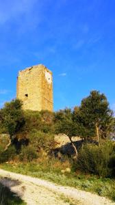 Affittimoderni Viddalba Bouganville - VIBO11 img17